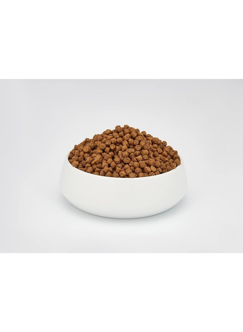 Schesir Adult Cat Dry Food Maintenance Chicken 10Kg | Single Protein Complete Bulk Nutrition for Digestive Support, Healthy Skin & Coat - Image 2